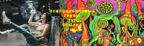дмт Алзамай