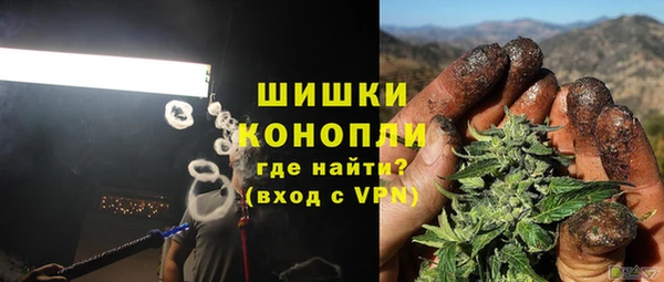 дмт Алзамай