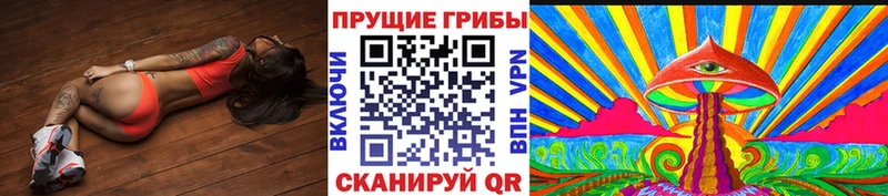 где можно купить   Петров Вал  Галлюциногенные грибы ЛСД 